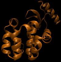 T4-lysozyme.png